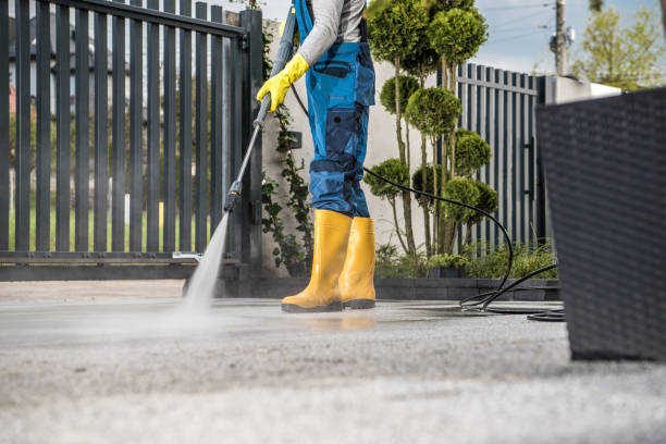 Best Local Pressure Washing Services  in Wilsonville, AL